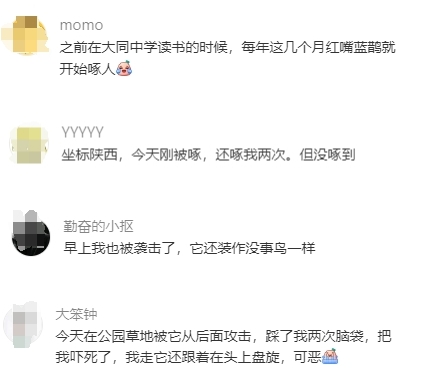 眼外傷